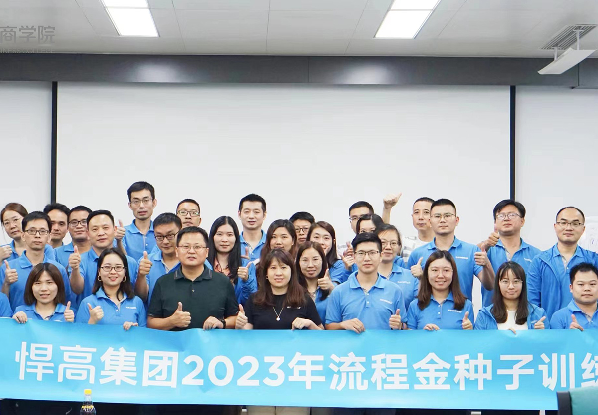 推进流程金种子项目，强化效率为王、结果导向的执行观