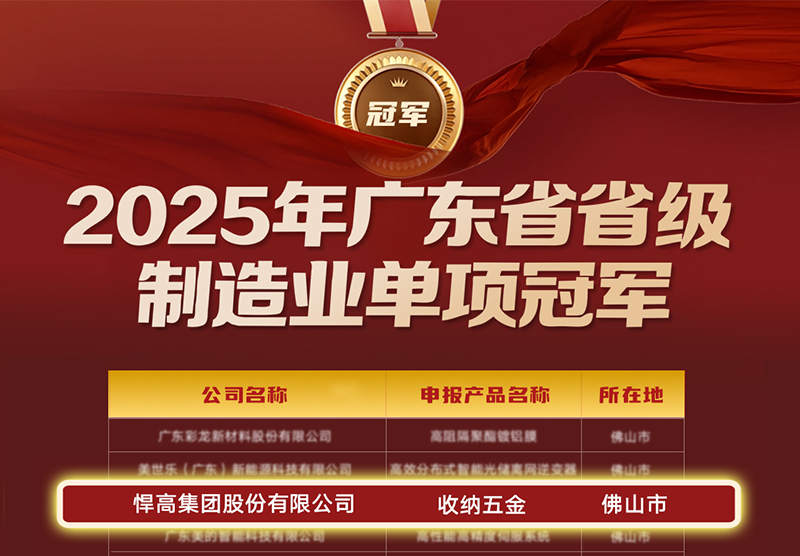 喜讯 | k8凯发荣膺广东省制造业单项冠军